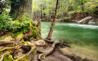 Lorem Ipsum Dolor Sit Amet Consectetur Adipiscing Elit