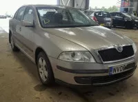 Grila Proiector Skoda Octavia 2008 Hatchback 1 6 