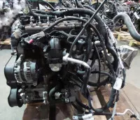 Motor Fara Accesorii Ford Transit 2 2 Tdci Fwd 100 Ps Drfa Drfb Drf Piese auto în Zalau, Salaj Dezmembrari