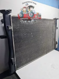 Radiator Apa Smart Forfour 1 5 Diesel Radiator Racire Antigel