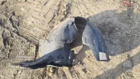 Carenaj Roata Dreapta Fata Volkswagen Passat B6 An 2007 Motor 2 0 Bkp 