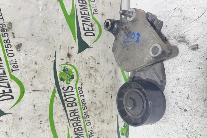 Suport Rola Accesorii Peugeot 307 2005 