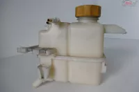 Vas Expansiune Opel Antara 2 0cdti cod 96837836 Piese auto în Lugasu de Jos, Bihor Dezmembrari