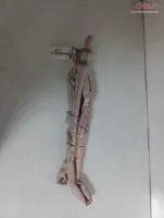 Airbag Cortina Dreapta Skoda Rapid 5ja880742 