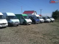 Dezmembrez dube marfa ford mercedes volkswagen opel fiat peugeot poza 