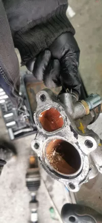Corp Carcasa Termostat Motor Nissan X Trail T30 Primera P12 2 0 2 5 Be