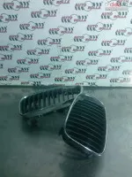 Grile Bara Fata Bmw E87 2 0 D An 2009 Euro 5 N47d20c 