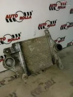 Radiator Intercooler Nissan Terrano 2 2 7d 