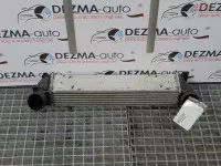 Radiator Intercooler Bmw 1 Cabriolet (e88) 2 0d 