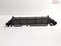 Radiator Intercooler Cod A2035000400 Mercedes Clasa C (w203) 2 2 Cdi (id