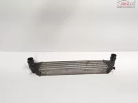 Radiator Intercooler Cod 8a9450000 Fiat 500l 1 3 M Jet 199b4000 (id 693375) 
