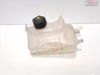 Vas Expansiune Cod 217100005r Renault Grand Scenic 3 1 6 Dci R9m402 (idi