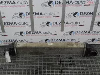Radiator Intercooler A1695000000 Mercedes Clasa A (w169) 2 0cdi (id 297586) 