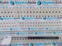 Telescop Haion Vw Polo (9n) 6q6827550a 