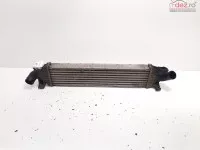 Radiator Intercooler Cod 3m5h 9l440 Ae Ford C Max 1 1 8 Tdci Kkdb (idi