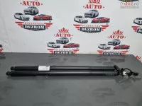 Amortizoare Haion Electric Stanga / Dreapta (0 Km) 51245a1dec5 Bmw X6 M F96 Lci S68t 