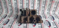 Turbina Jaguar X Type 2 0d 130cp Cod Piesa 2s7q6k682aj 