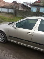 Usa Stanga Fata Skoda Octavia 2 