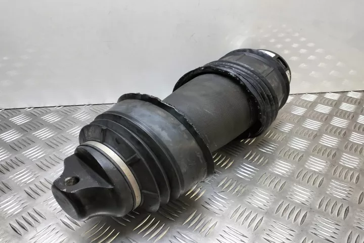 Perna Aer / Suspensie Pneumatic Spate Mercedes Benz E Class W211/s211 [2002 