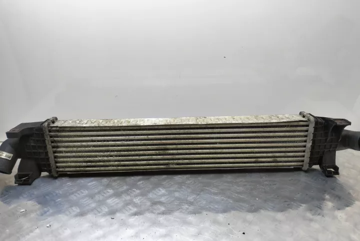 Radiator Intercooler Ford C Max [2003 2007] 