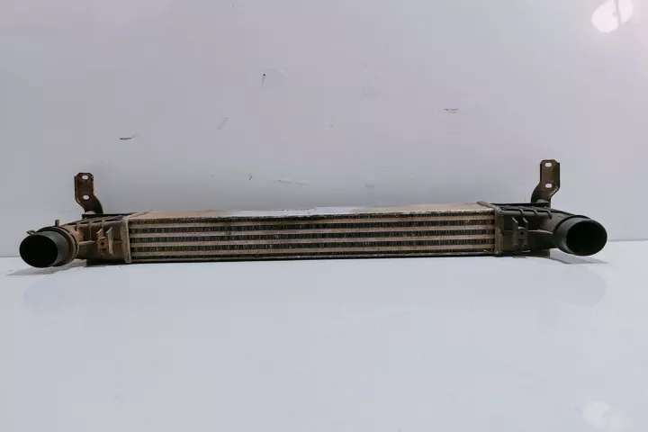 Radiator Intercooler Seat Alhambra [1996 2000] 