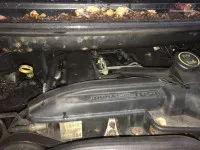 Alternator Ford Transit 2008 Duba 2 2tdci Piese auto în Craiova, Dolj Dezmembrari