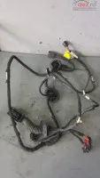 Instalatie Usa Dreapta Fata Audi Q5 8r0971030f (7811510)