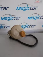 Vas De Expansiune Lichid Racire Opel Signum (2004 2010) 