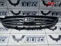 Grila radiator Kia Carens 2004