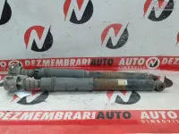 Amortizor Spate Peugeot 307 2005 