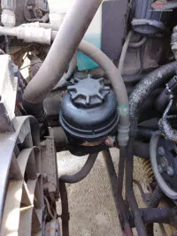 Vas Lichid Servo Bmw 316 E46 2001 316ti N42