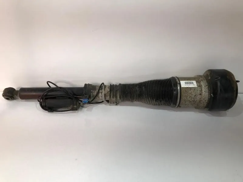 Perna De Aer Stanga Spate Mercedes Benz S Class W221 [2005 2009] 