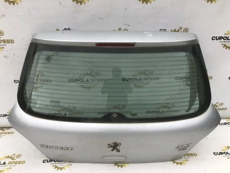 Haion Cu Luneta Peugeot 307 [2001 2005] 