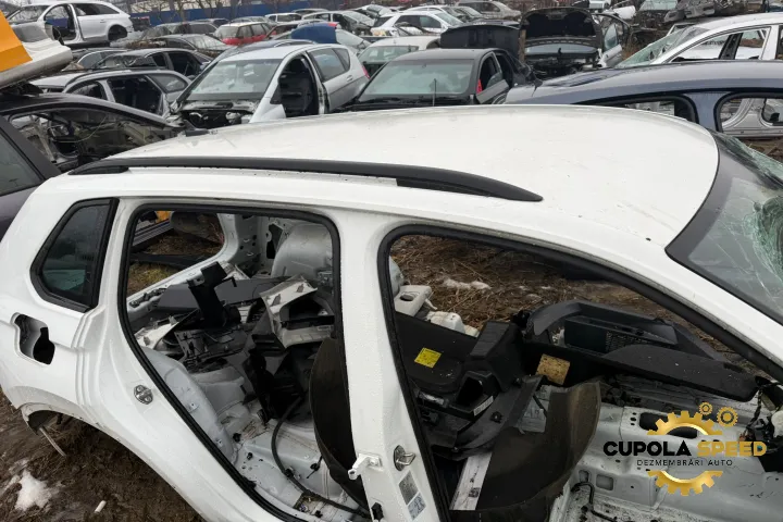 Plafon Exterior / Cupola Volkswagen Vw Tiguan 2 Ad1 [2016 2020] 