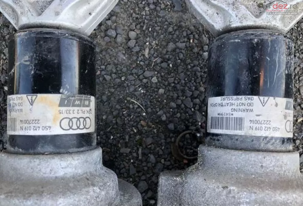 Amortizor Fata Audi R8 4s0412019n 2015