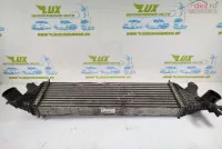 Radiator Intercooler 1362061ma0 Suzuki Vitara 2 (2014 2018) K14c 