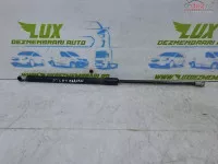Amortizor Haion Nissan Qashqai 1 J10 (2007 2010) 