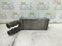 Radiator Intercooler 876923jf Peugeot 307 1 (facelift) (2005 2008) 