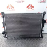 Radiator Apa Ford | Land Rover | Volvo | 8v61 8c342 Gb | 6g91 8005 Fc | Car (8533594)