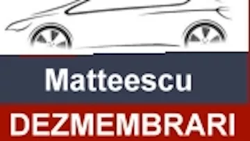 II Mateescu Nicoleta Lenuta