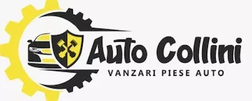 Pro Auto Collini