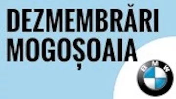 Dezmembrari Mogosoaia